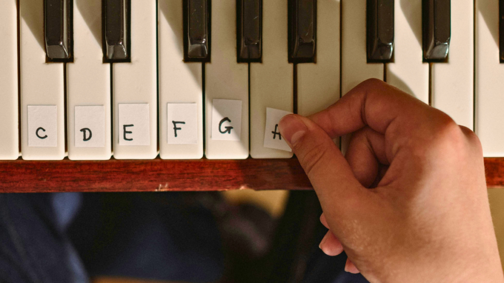 Piano chords for beginners full guide